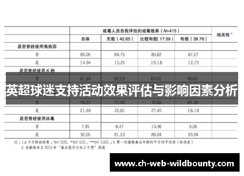 英超球迷支持活动效果评估与影响因素分析 英超球迷支持活动效果评估与影响因素分析