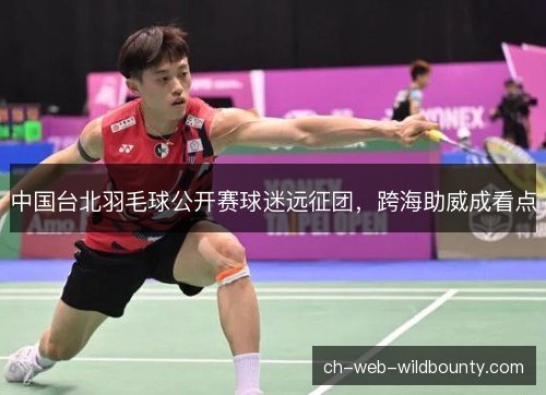 中国台北羽毛球公开赛球迷远征团，跨海助威成看点